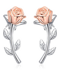 Rosette Silver Ear Climbers